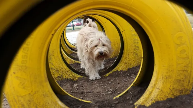 U Varaždinu otvoren najveći park za pse u Hrvatskoj!