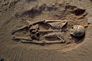 Pronađeni dokazi najstarijeg masakra u povijesti