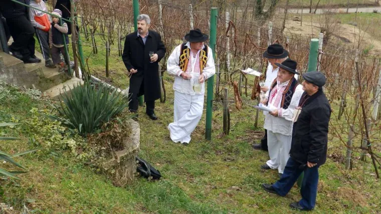 Udruga 'Trsek' organizira 24. izložbu mladih vina