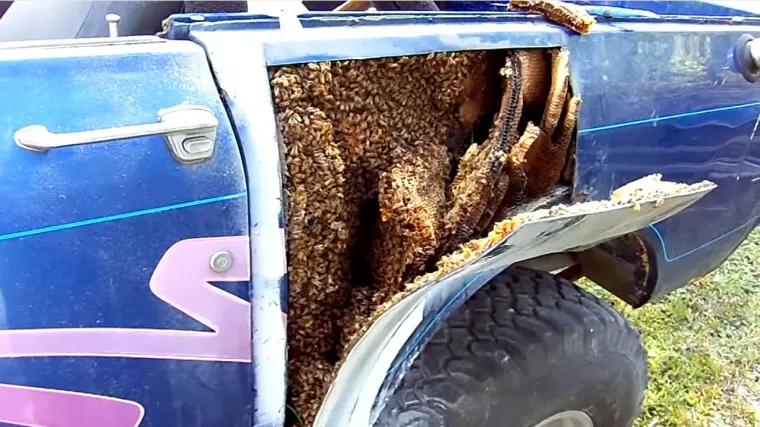 Iznenađenje u starome terencu