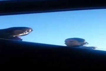 "Koliko za trojicu? Može li za 70 maraka?"