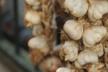 Diplomirala na češnjaku pa unovčila znanje