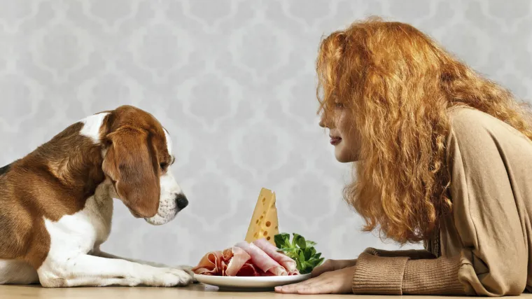 Ovu hranu NIKADA ne biste smjeli davati svojim ljubimcima