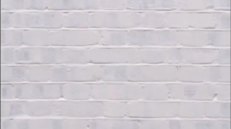 Snimio film od deset sati koji prikazuje sušenje boje na zidu