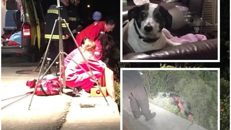 Lavež psa u mraku otkrio automobil u provaliji u Lapadu (FOTO)