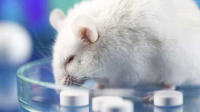 Znanstvenici uspjeli produljiti život za 35%