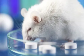 Znanstvenici uspjeli produljiti život za 35%