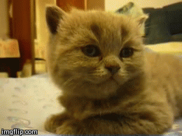 Oh ne, jo&scaron; jedan ponedjeljak