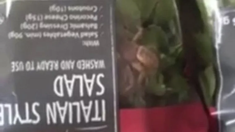 U salati prona&scaron;la uljeza od kojeg bi mnogi jednostavno iskočili iz kože