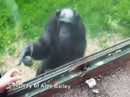 Čovječe, kako ne razumije&scaron;? Pusti me van!