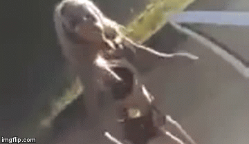 Cura se malo pokazala, a dečki odmah izazvali čisti kaos