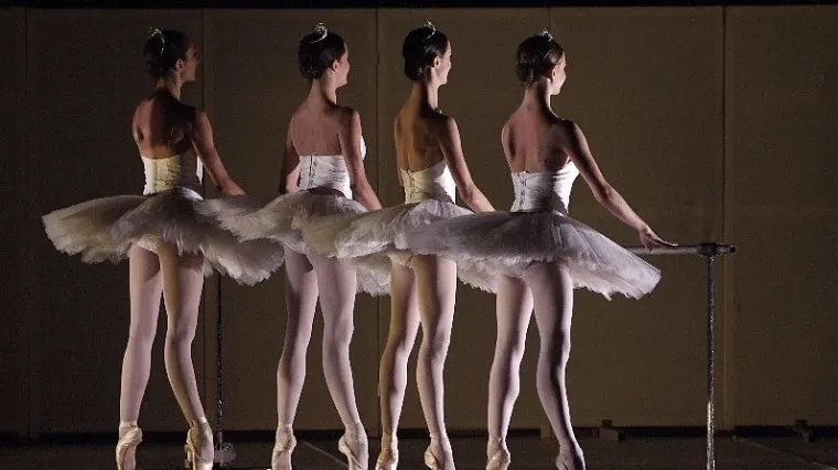 Ne biste vjerovali &scaron;to se dogodilo na baletu Labuđe jezero u Gospinom polju