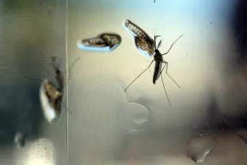 Muškarac koji je putovao Venezuelom zarazio se zika virusom