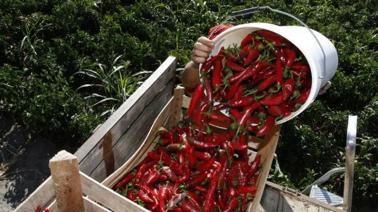 Čim se tržište zasiti pronađu novi izlaz