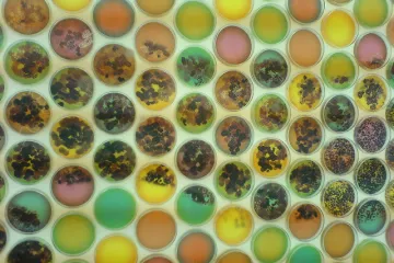 Nizozemci osnovali banku za pohranu izmeta za uzgoj bakterija