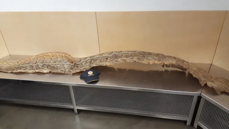 Poku&scaron;ao prokrijumčariti kožu afričkog pitona