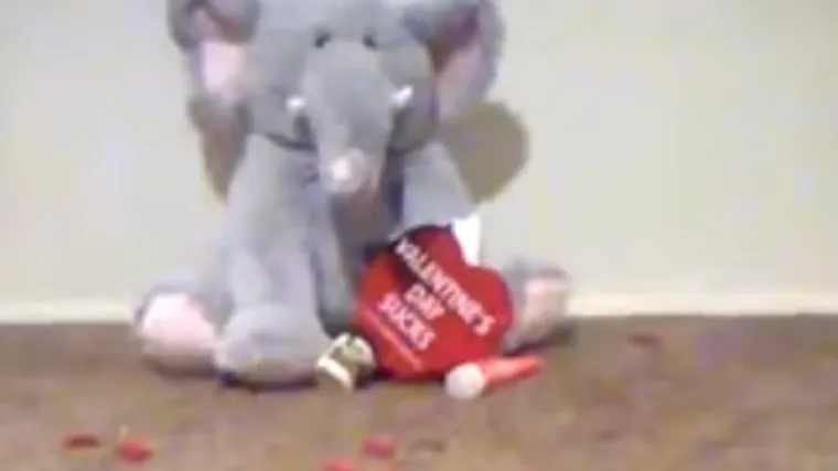 Prevarila ga, a on joj je za Valentinovo pripremio veeeliko iznenađenje