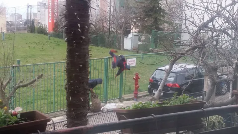 Kaos na Rujevici &ndash; usred dana, bez imalo srama, lopovi bezbrižno kradu sve na &scaron;to naiđu!