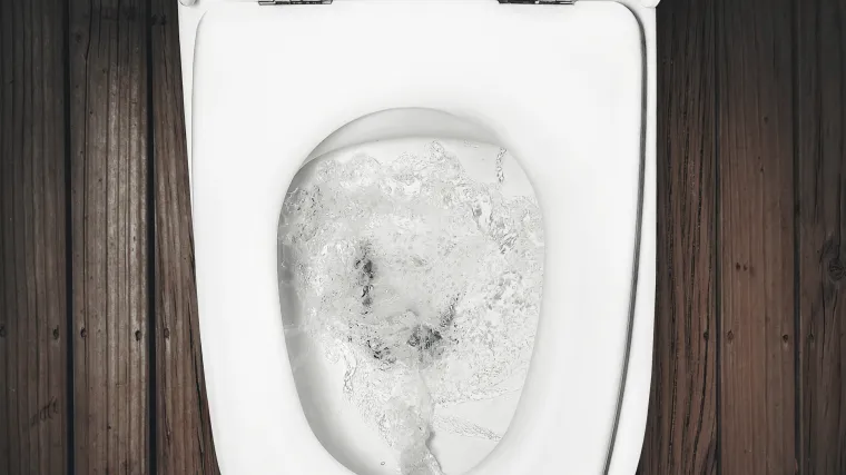 Rotira li  voda u zahodskoj &scaron;koljci u različitim smjerovima u Hrvatskoj i Australiji?