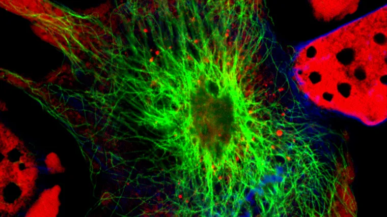 "To su odlične vijesti!"