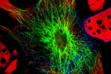 "To su odlične vijesti!"