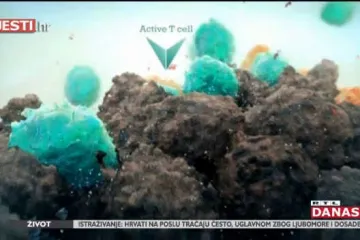 Novom metodom liječenja oporavilo se čak 94 posto oboljelih od raka