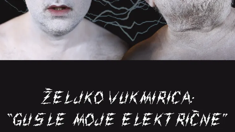 'Gusle moje električne' Željka Vukmirice