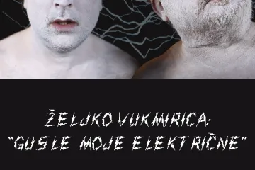 'Gusle moje električne' Željka Vukmirice