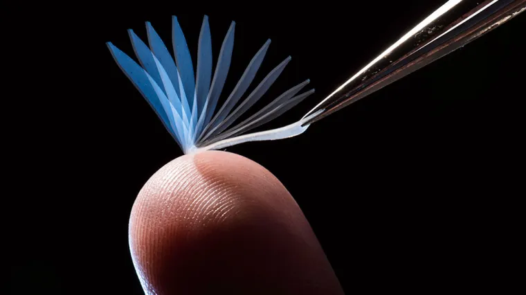 Polimer koji mijenja oblik i može podići teret 1.000 teži od vlastite težine