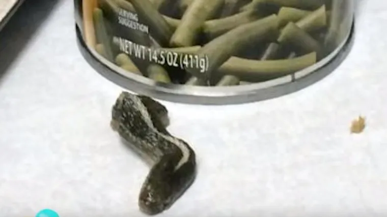 Večera iz noćne more: iz limenke s mahunama 'iskočila' zmijska glava!