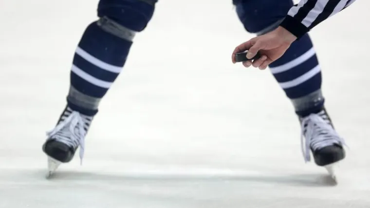 Obiteljska drama Medve&scaron;čakovog vratara