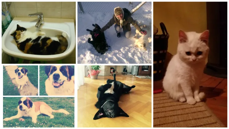 Te&scaron;ko nam je bilo odabrati, ali evo prve razigrane petorke