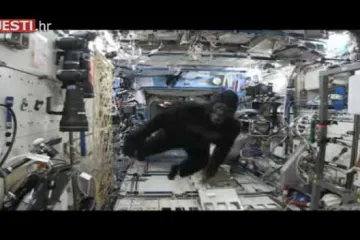 Majmunarije u svemiru: pogledajte kako astronauti krate vrijeme