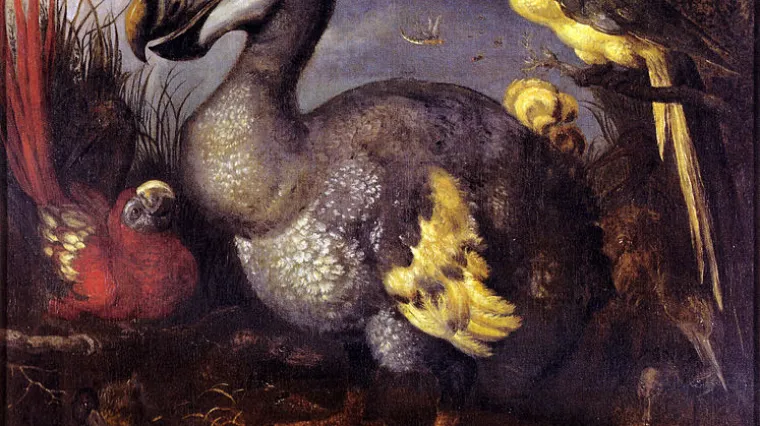 Znanstvenici razbili mit o davno izumrloj životinji čudnog izgleda