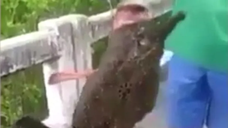 Ribari upecali stvora s perajama i nogama, ni sami ne znaju &scaron;to je to