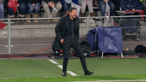 Sve će sam obaviti ako treba