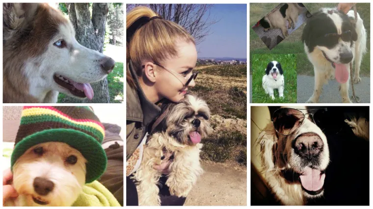 Grofovi, rastafarijanci, modeli... svi su redom neodoljivi