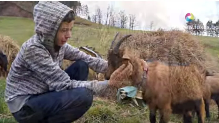 Tražio kozu, dvije, a evo &scaron;to je dobio