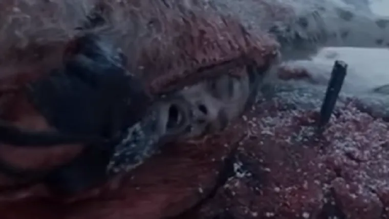 8 ludih stvari koje je Leo radio ne bi li osvojio Oscara