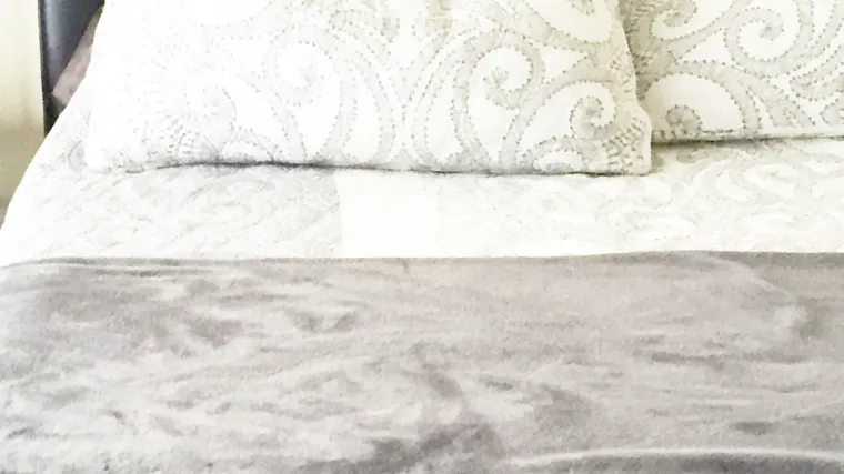 Ljude izluđuje slika na kojoj ne mogu pronaći životinju, možete li vi?