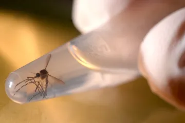 Slovačka i Kuba prijavile prve potvrđene slučajeve zaraze