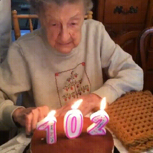 Bako, za&scaron;to ima&scaron; tako velike zube?