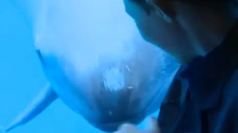 Neobično prijateljstvo iznenadilo i stručnjake