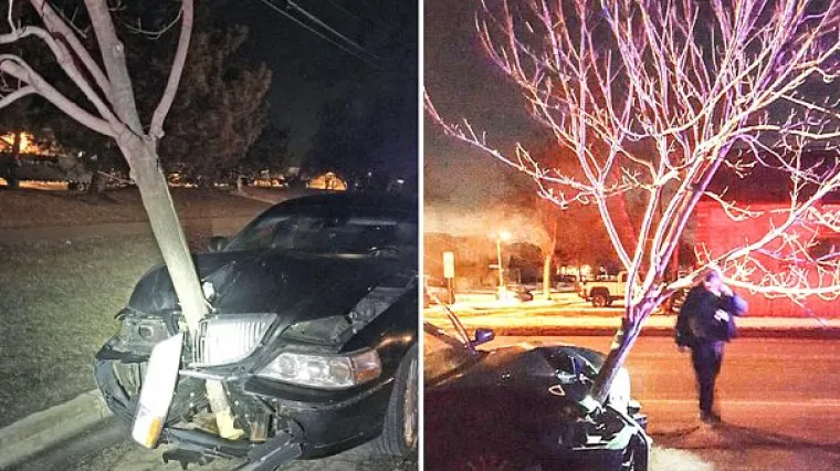 Kakva specijalka: pijana vozila s ogromnim stablom zabijenim u haubi!