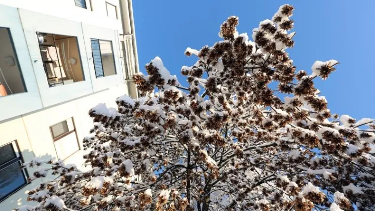Danas još malo snijega, a od srijede promjena