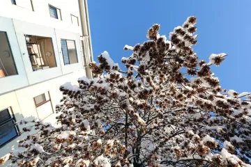 Danas još malo snijega, a od srijede promjena