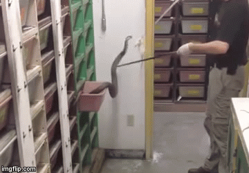 Njegov posao ne bi htio raditi gotovo nitko, pogledajte za&scaron;to