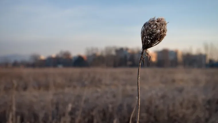 Nitko nije htio biti prvi, pa ni kad su nudili nagradu