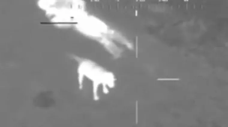 Termalna policijska kamera zabilježila hrabrost jednog psa