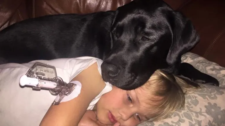 Retriver probudio mamu kada je dječaku s dijabetesom pao &scaron;ećer